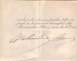 1895 Kinevezés az Erzsébet kórház intézőjévé gr. Csekonics Endre a Vöröskereszt elnöke aláírásával