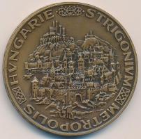 Peternák Gusztáv (1928-) 1988. "MÉE Budapest / Hungarie Strigonium Metropolis" Br emlékérem (42,5mm) T:1