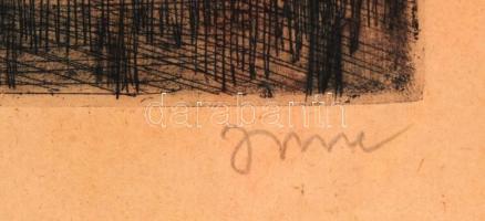 Imre István (1950-): Halászbástya. Rézkarc, papír, jelzett, üvegezett keretben, 38×29 cm