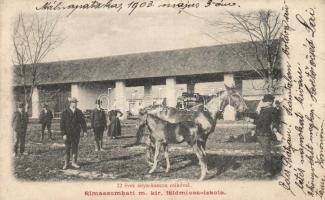 Rimaszombat földműves iskola, kanca csikóval / agricultural school, mare, foal (fa)