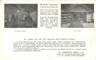 Mohai Ágnes forrástelep, palackmosó csarnok, kézi raktár