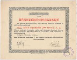 Budapest 1923. "Magyar-Holland Izzólámpa- és Villamossági Felszerelési Cikkek Gyára Részvény-Társaság" részvény-utalvány 100db egyenként 200K-ról T:II (hajtatlan)