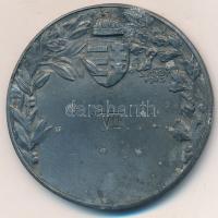 Sződy Szilárd (1878-1939) 1925. "Magyar Egyetemi és Főiskolai Sportegyletek Országos Központja ...