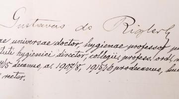 1917 Jogi diploma pergamenen