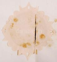 1917 Jogi diploma pergamenen