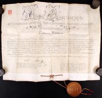 1910 Politikatudományi diploma ép, címeres függőpecséttel