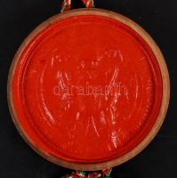 1910 Politikatudományi diploma ép, címeres függőpecséttel