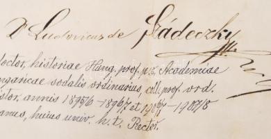 1910 Politikatudományi diploma ép, címeres függőpecséttel