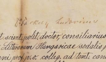 1910 Politikatudományi diploma ép, címeres függőpecséttel