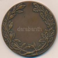 Németország DN "Sport Kartell Berlin" Br emlékérem (55mm) T:2
Germany ND "Sport Karte...