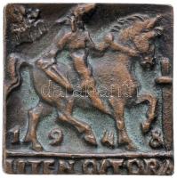 Csúcs Ferenc (1905-1999) 1948. "Atilla dux / Isten ostora" Br plakett (40x40mm) T:1-
Hunga...