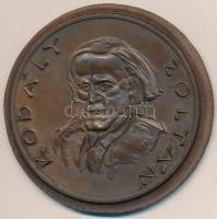 Kéri Ádám (1944-) DN "Kodály Zoltán / Háry János" Br emlékérem (66mm) T:2