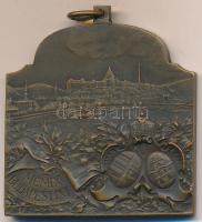 Ifj. Vastagh György (1868-1946) 1909. "XVI. Nemzetközi Orvos Kongresszus - Budapest" bronz...