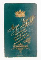 cca 1880 gróf Gélich Richárd 1848-as tábornok (1821-1899) keményhátú fotója, 9x11 cm