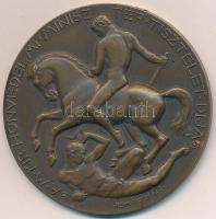 Reményi József (1887-1977) 1928. "A Magyar Királyi Honvédelmi Miniszter Tiszteletdíja" bronz emlékérem (45mm) T:1-