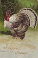 Turkey, Thanksgiving, Emb. litho