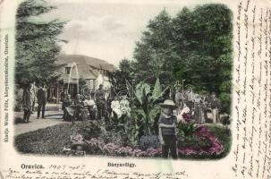 Oravica, Bányavölgy (fa)