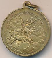 1898. "Szabadságharczunk dicső emlékére" Br emlékérem (30mm) T:2 ph