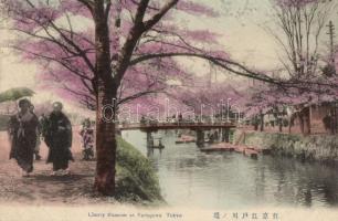 Tokyo Vedogawa, cherry blossom