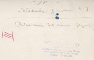 Pobuda Alfréd: Törekvés-Gamma (4:3) focimeccs, Palatinus kapura fejel, pecséttel jelzett, 18x12 cm