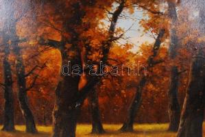 Olvashatatlan jelzéssel: Őszi erdő. Olaj, vászon, sérült, dekoratív keretben, 60×80 cm