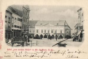 1898 Wiener Neustadt, Hotel zum weissen Rössel (Rb)