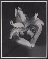 cca 1930-1935 Kinszki Imre (1901-1945): Orchidea, vintage fotó, feliratozva, a szerző hagyatékából, 21x17 cm