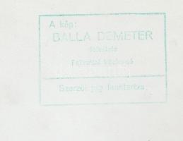 cca 1960-1970 Balla Demeter (1931-): Naplemente a Balaton partján, vintage fotóművészeti alkotás, pe...
