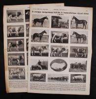 1935, 1936 A Köztelek c. újság képes mellékletei az Országos Mezőgazdasági kiállítás ás tenyészvásár díjazott állataival