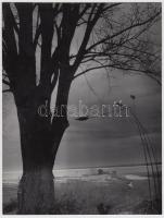 cca 1960-1970 Kotnyek Antal (1921-1990): Balatoni tájkép, jelzetlen vintage fotó, a szerző hagyatéká...