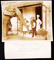 1932 Cirkuszi elefánt ormányjegyével látja el a vendég könyvet, sajtóillusztráció, angolul és magyarul feliratozva, 20x25 cm