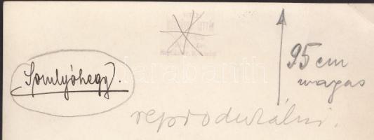 cca 1930 Vitéz Mészáros István: Somlóhegy, pecséttel jelzett, sarka törött, 18x11 cm