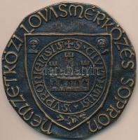 Renner Kálmán (1927-1994) 1965. "Nemzetközi Lovasmérkőzés Sopron" Br emlékplakett (95mm) T...