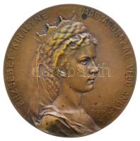 Ifj. Vastagh György (1868-1946) 1911. "Drezdai Egészségügyi Világkiállítás - A Magyar Állam Pavillonja" Br emlékérem (77.3g/60mm) T:2 Hungary 1911. "International Hygiene Exhibition in Dresden" commemorative Br medallion. Sign: György Vastagh (77.3g/60mm) C:XF HP: 6364., HV.: 1395.