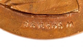 Borsos Miklós (1906-1990): Arany János. Bronz plakett, jelzett, sorszámozott 100/6, kétoldalas, d:11...