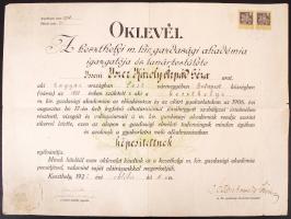 1922 Oklevél, A keszthelyi m. kir. gazdasági akadémia, pecsételve, 35×48 cm