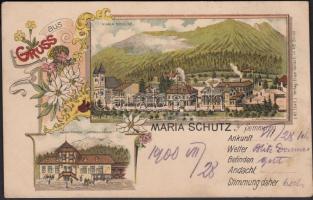 Maria Schutz, Anton Prasch Gasthof Auerhahn, floral, litho