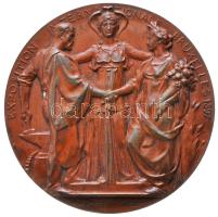 Belgium 1897. "Brüsszeli Nemzetközi Kiállítás" Br emlékérem. Szign.: Jul Lagae / Wolfers (148.6g/70mm) T:2,2- Belgium 1897. "Brussels International Exposition" commemorative Br medallion. Sign: Jul Lagae / Wolfers (148.6g/70mm) C:aXF Wurzbach: 1027.