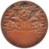 Belgium 1897. "Brüsszeli Nemzetközi Kiállítás" Br emlékérem. Szign.: Jul Lagae / Wolfers (...