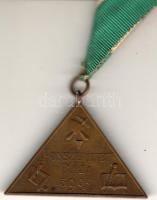 cca. 1890 "Honszeretet Bája 5903" szalagos Br háromszögalakú szabadkőműves tagsági jelvény T:2