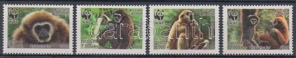 WWF: Gibbonok sor, WWF: Gibbons set