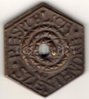 1976. "Szentendre Respublica" Br hatszögletű lyukas plakett T:2