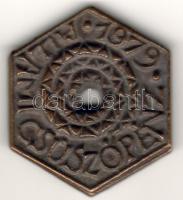 1976. "Szentendre Respublica" Br hatszögletű lyukas plakett T:2