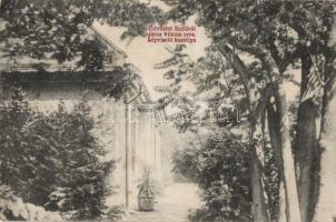 Kolta, Járos Vilmos országos képviselő kastélya / castle (EK)