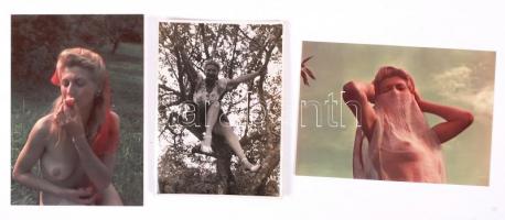 4 db különböző erotikus fotó egy ismeretlen nőről, 12×9-35×18 cm