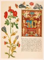 Magyarország történeti emlékei az 1896. évi ezredéves országos kiállításon.
Szerkesztik: az első rés...