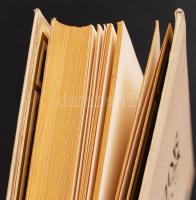 Petőfi Sándor összes költeményei hazai művészek uj rajzaival és a költő arczképével, I.-II. köt. Bp....