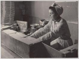 cca 1950-1960 Dolgozó nők, jelzetlen vintage szocreál fényképek Kotnyek Antal hagyatékából, egyik fotó kartonra ragasztva, 4 db, 11x16 cm és 17x23 cm közötti méretekben