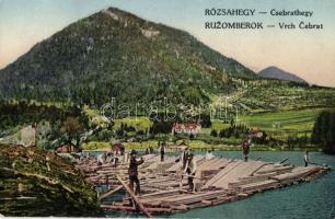 Rózsahegy, Csebrahegy, faszállítás, Valuch János kiadása / mountain, timber transport (EK)