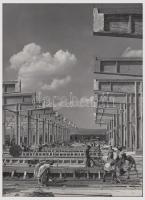 cca 1950-1955 Üzemcsarnok építése (talán Kazincbarcikán), szocreál riportfotó, 24x18 cm